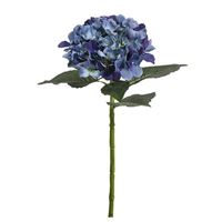 Jade-Hortensia blå lilla